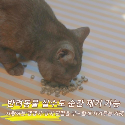 방수 카페트 거실 카페트 세탁가능 미끄럼방지 대형 거실 러그 상세 이미지 1
