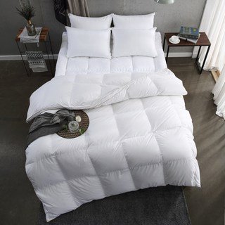라셀렌 VIP 구스 다운 이불 900g, 화이트