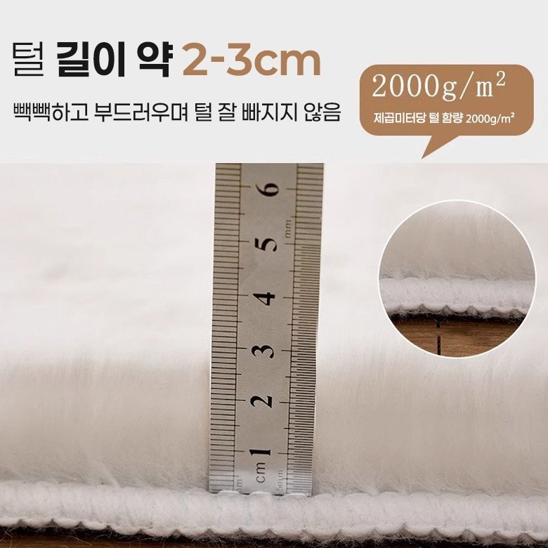 Fowod 물세탁이 가능한 부드러운 극세사 토끼털 카펫 침실 거실 인테리어 상세 이미지 2