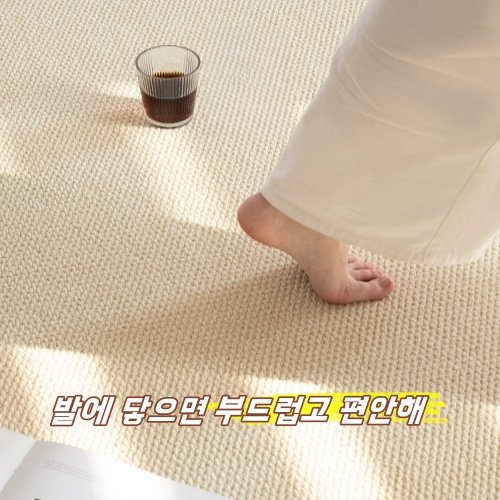 물세탁 거실 카페트 방수 카페트 파스텔 사계절 소프트 러그 검은색 분말 낙하 없음 먼지없는할인 상세 이미지 1