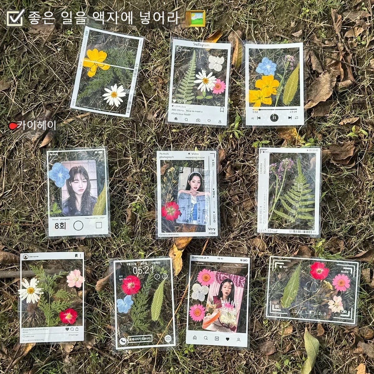 압화 책갈피 DIY 책갈피 드라이플라워 북마크, 80개, 투명 창의할인 상세 이미지 2