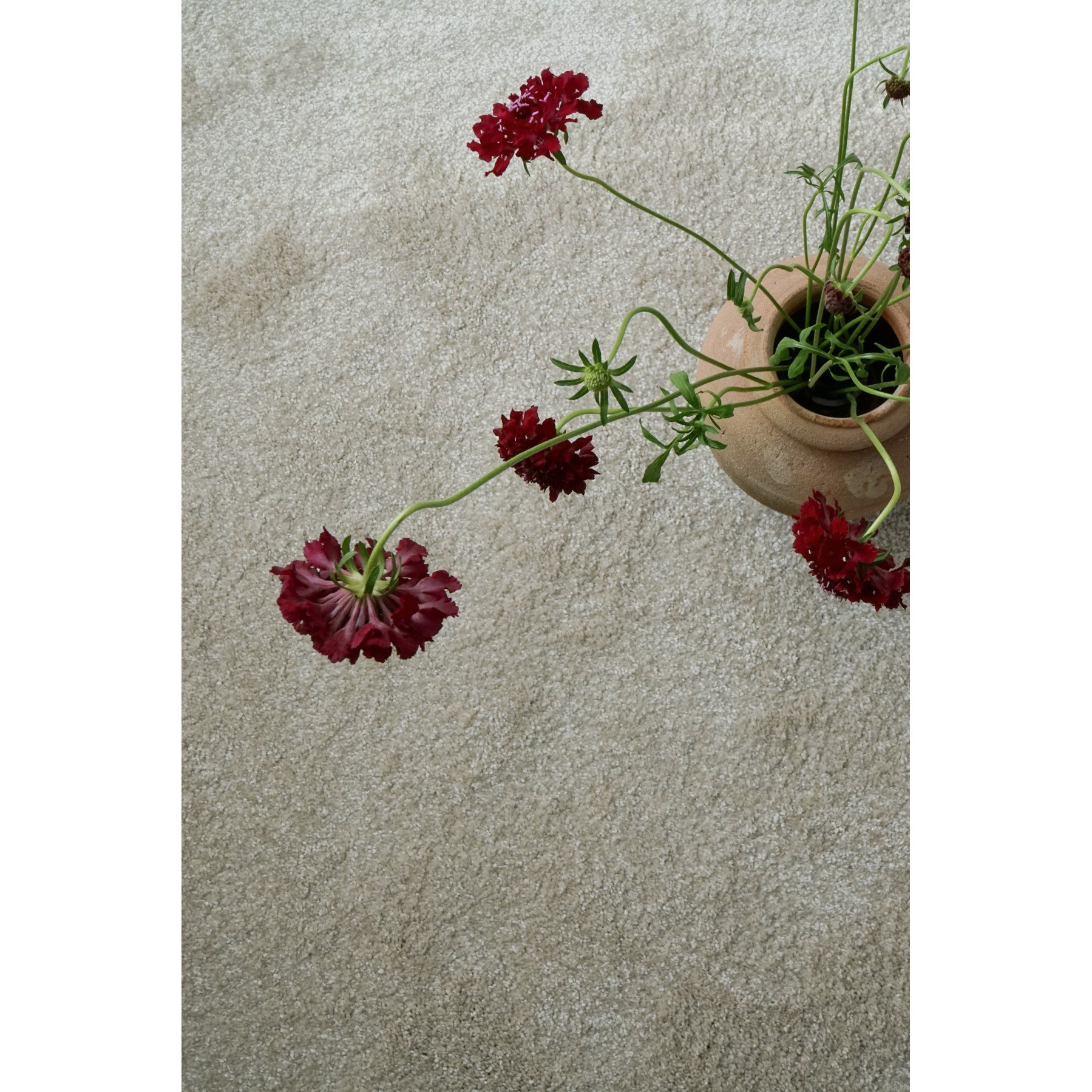 벨기에 수입카페트 아티스트 러그 6색상 (사계절 고밀도) 상세 이미지 2