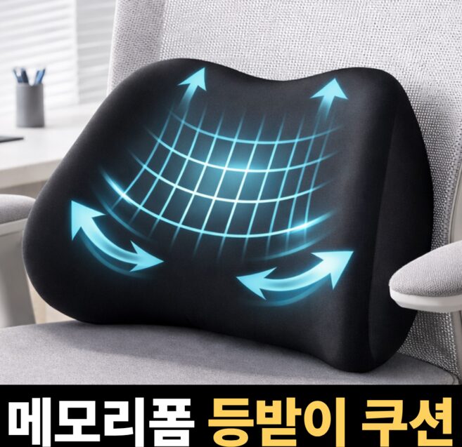 라인오브 메모리폼 허리 등받이 쿠션, 블랙(black)할인